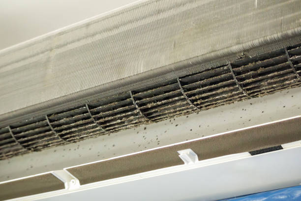 Best Air Duct Cleaning Company Near Me  in , WV