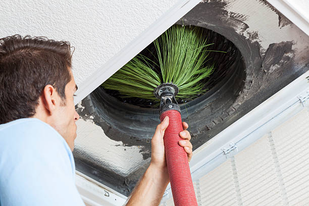Best Home Air Vent Cleaning  in , WV