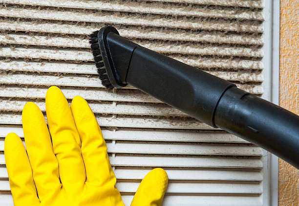 Best Dryer Vent Cleaning Services  in , WV